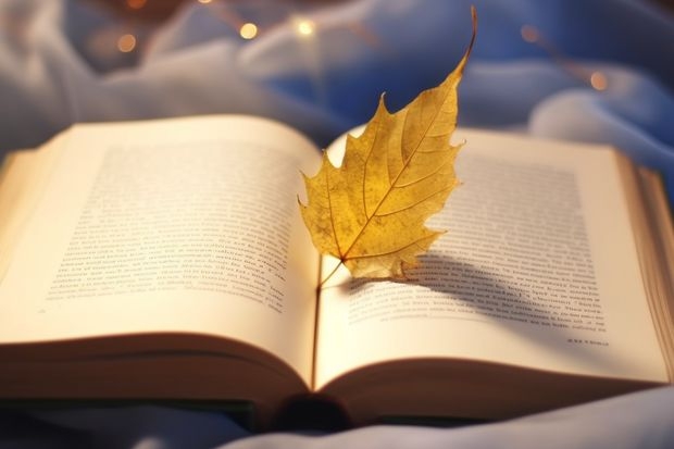 师范学院成人录取分数线 山师成考历年的分数线
