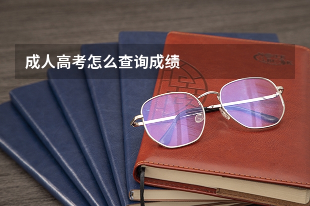 成人高考怎么查询成绩