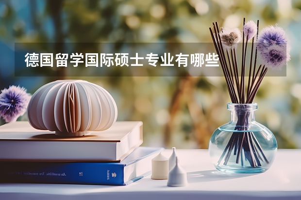 德国留学国际硕士专业有哪些