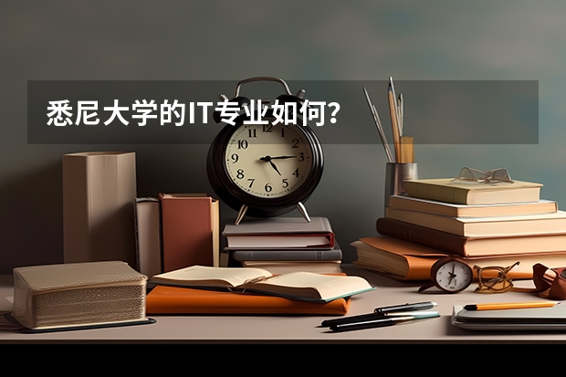 悉尼大学的IT专业如何？