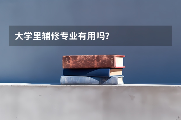 大学里辅修专业有用吗?