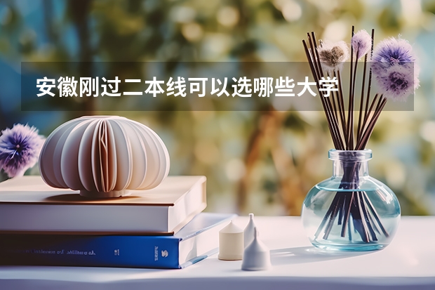 安徽刚过二本线可以选哪些大学