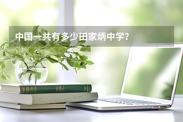 中国一共有多少田家炳中学？