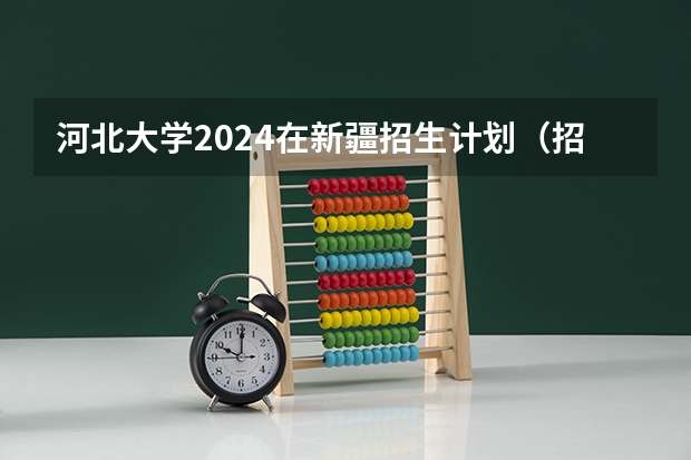 河北大学2024在新疆招生计划（招生人数）