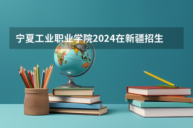 宁夏工业职业学院2024在新疆招生计划（招生人数）