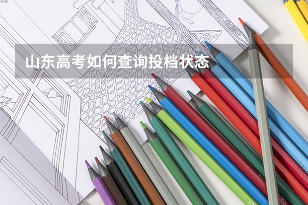 山东高考如何查询投档状态