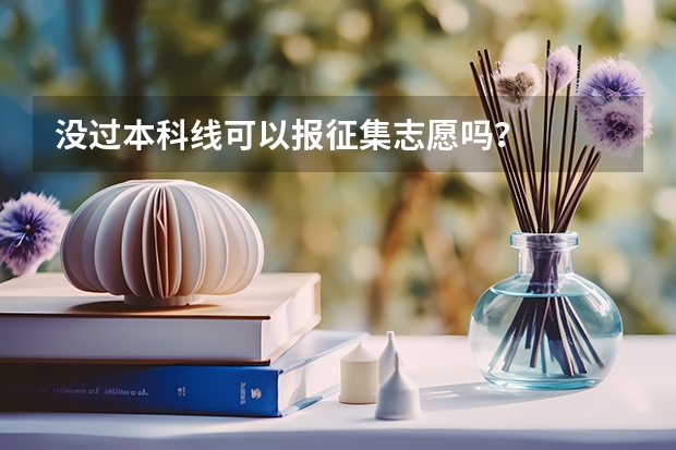 没过本科线可以报征集志愿吗？