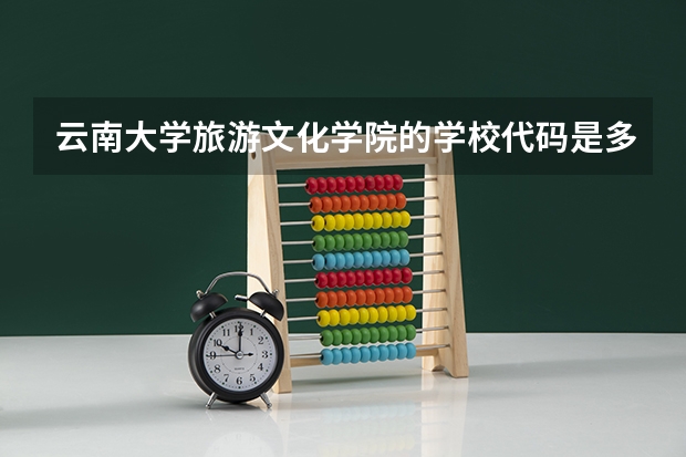 云南大学旅游文化学院的学校代码是多少