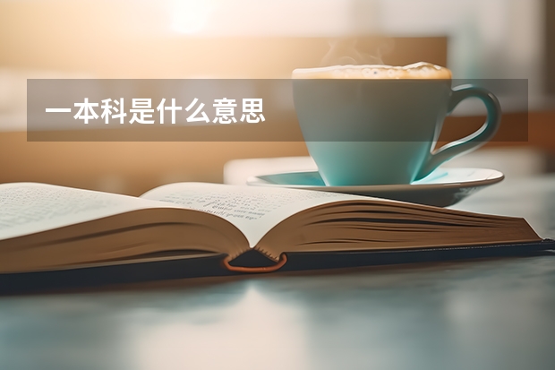 一本科是什么意思