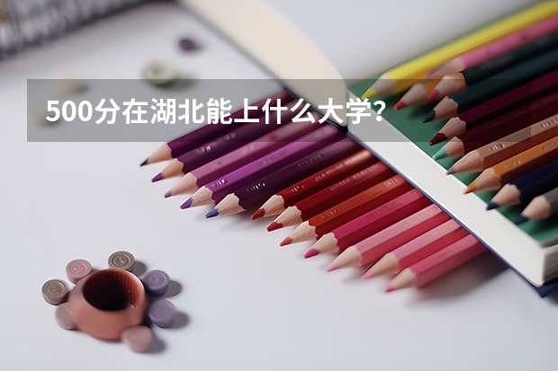 500分在湖北能上什么大学？
