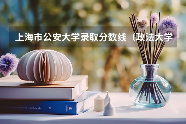 上海市公安大学录取分数线（政法大学排名及录取分数线）
