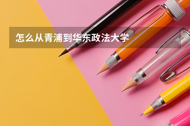 怎么从青浦到华东政法大学