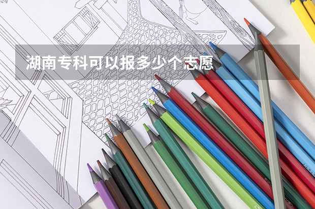 湖南专科可以报多少个志愿