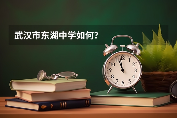 武汉市东湖中学如何?