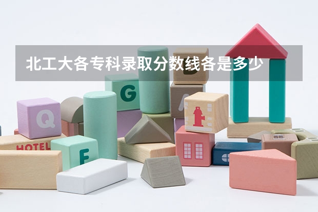 北工大各专科录取分数线各是多少