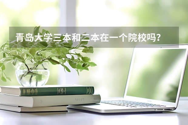 青岛大学三本和二本在一个院校吗？