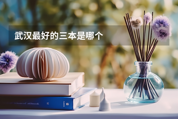 武汉最好的三本是哪个