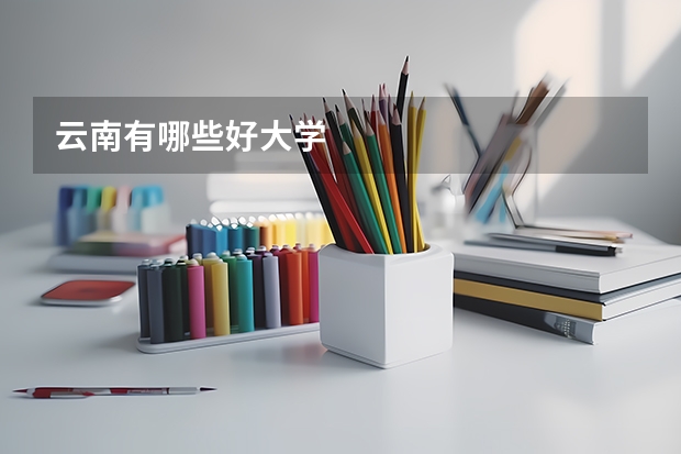云南有哪些好大学