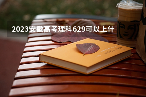 2023安徽高考理科629可以上什么大学