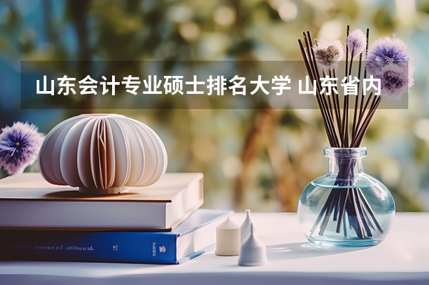山东会计专业硕士排名大学 山东省内会计专业哪个学校好