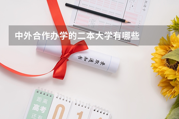 中外合作办学的二本大学有哪些