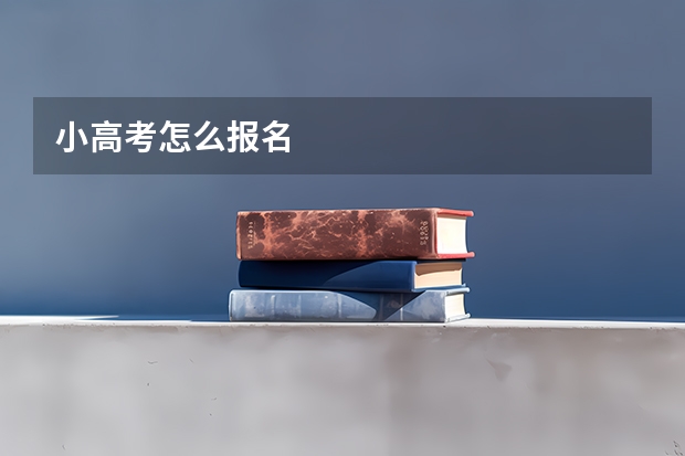 小高考怎么报名